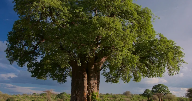 Mon top des destinations nature : cinq parcs qui m'ont marqué