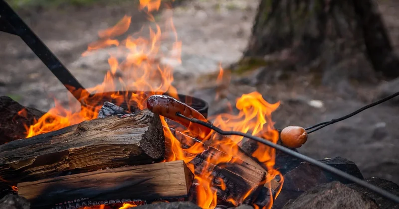 Quel est le meilleur pays pour faire du camping sauvage ? La réponse scandinave
